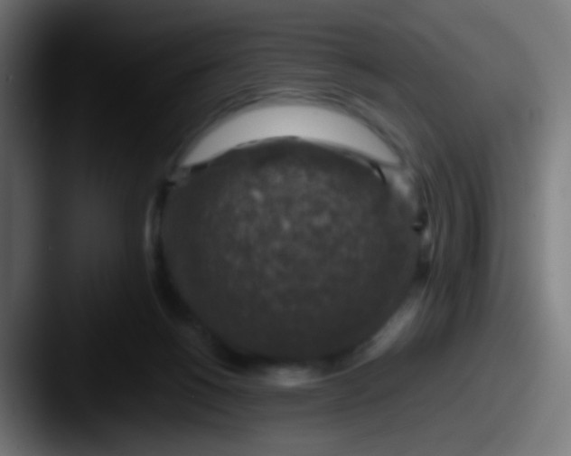 X0000087620168200705181319