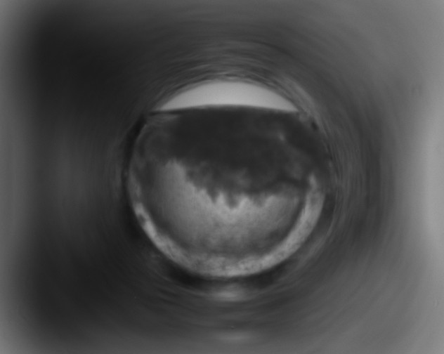X0000087620169200705181319