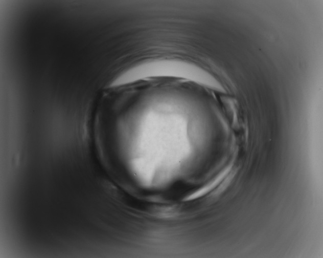 X0000087620170200705181319