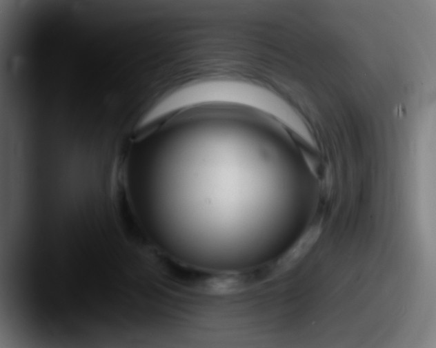 X0000087620172200705181319