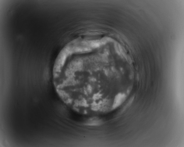 X0000087620173200705181319