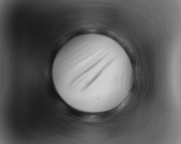 X0000087620174200705181319