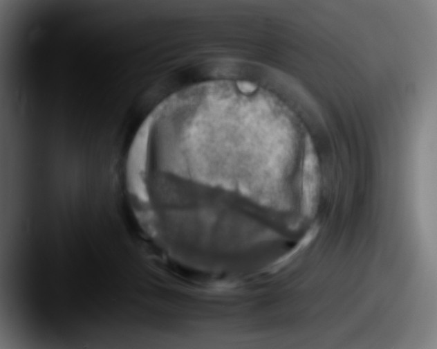 X0000087620175200705181319