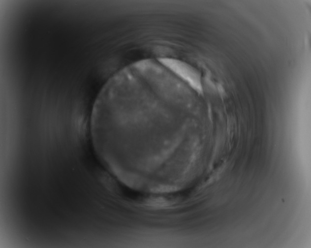 X0000087620177200705181319