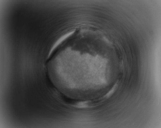X0000087620178200705181319