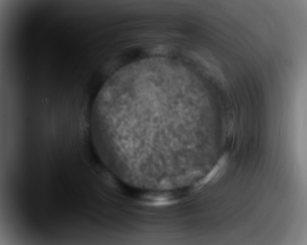 X0000087620179200705181319