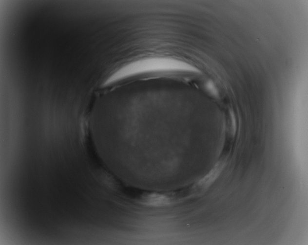 X0000087620180200705181319