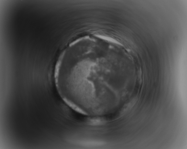X0000087620181200705181319