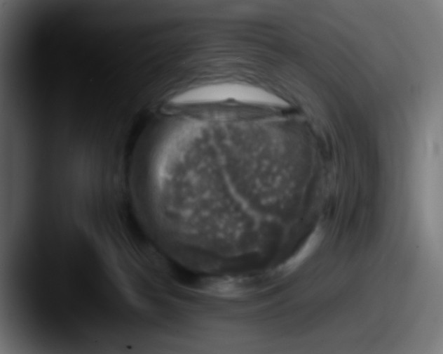 X0000087620182200705181319