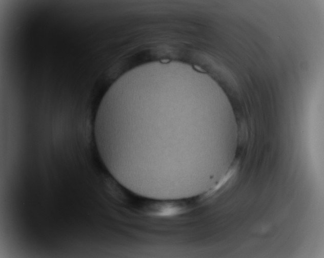 X0000087620183200705181319