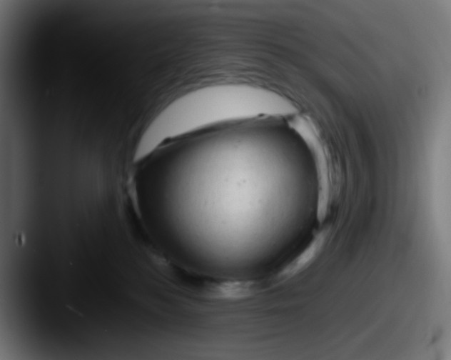 X0000087620184200705181319
