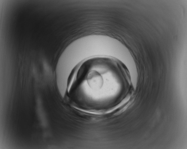 X0000087620188200705181319
