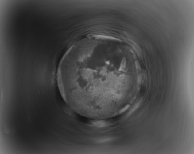 X0000087620189200705181319