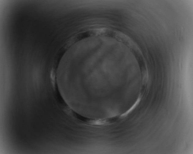 X0000087620191200705181319