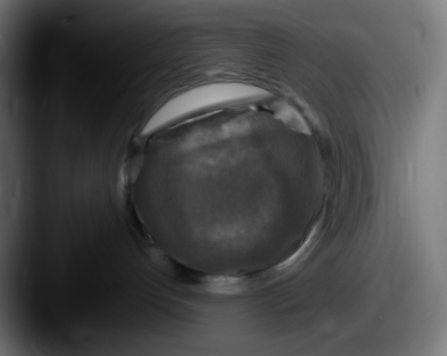 X0000087620192200705181319