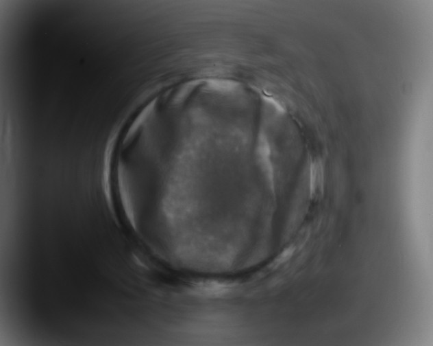 X0000087620195200705181319