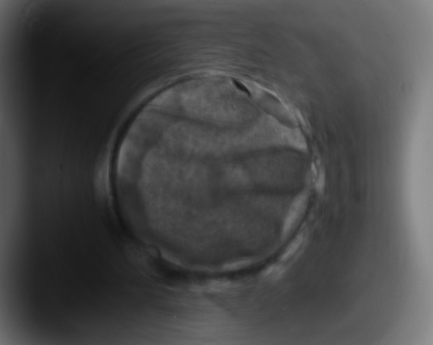 X0000087620196200705181319