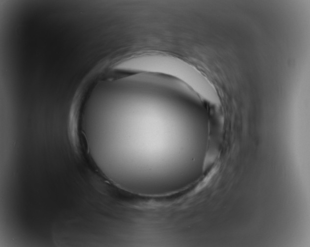 X0000087620197200705181319