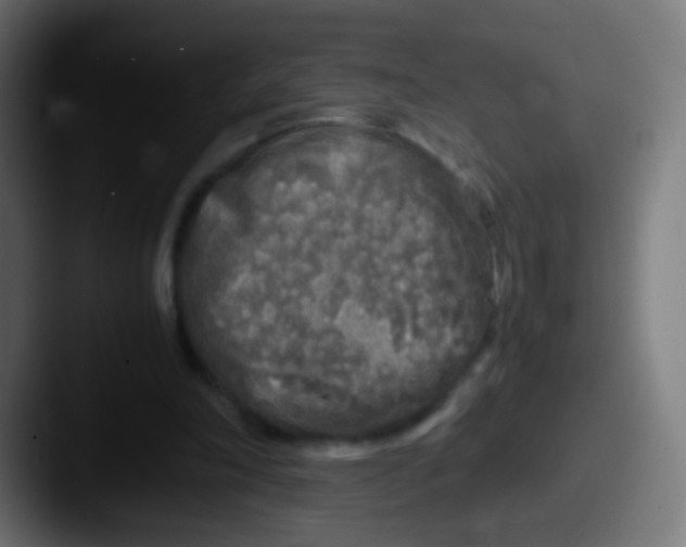 X0000087620198200705181319