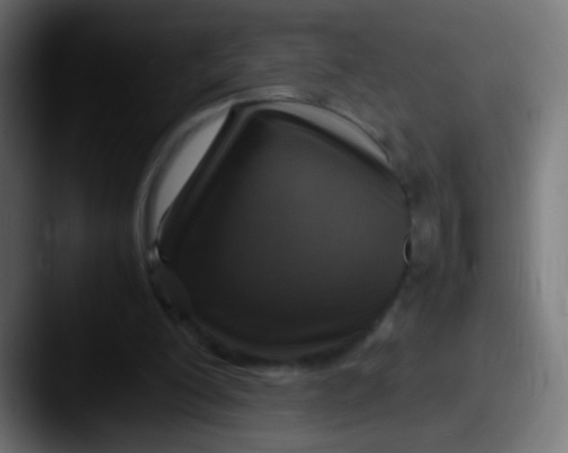 X0000087620200200705181319