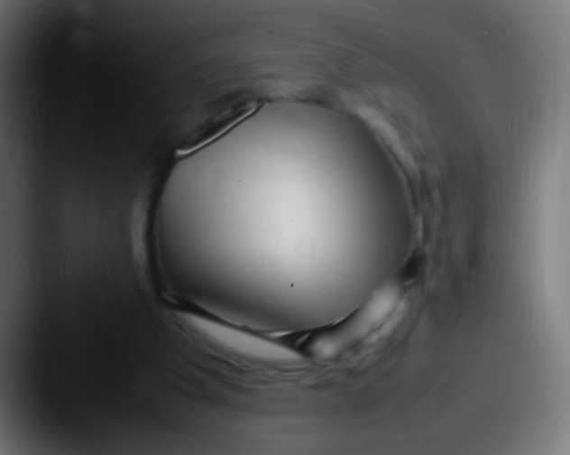 X0000087620201200705181319