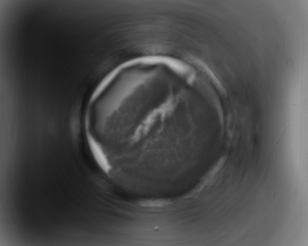 X0000087620202200705181319