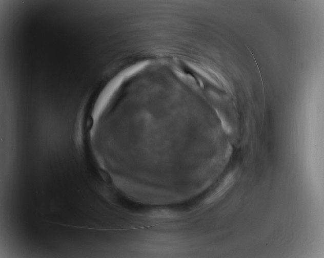 X0000087620203200705181319