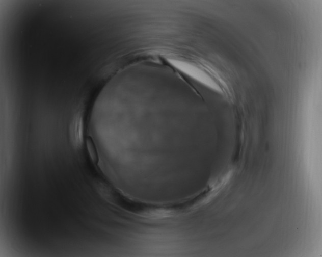 X0000087620205200705181319