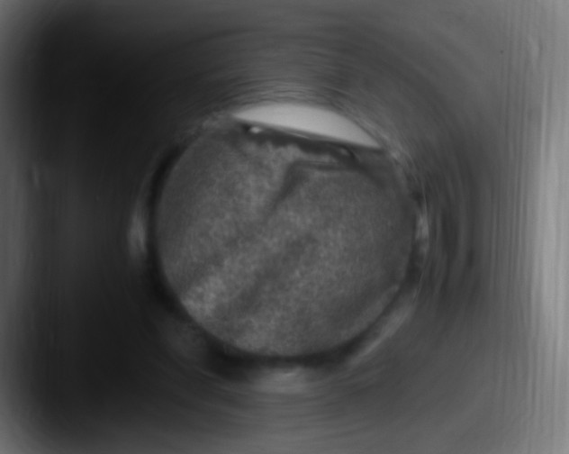 X0000087620206200705181319