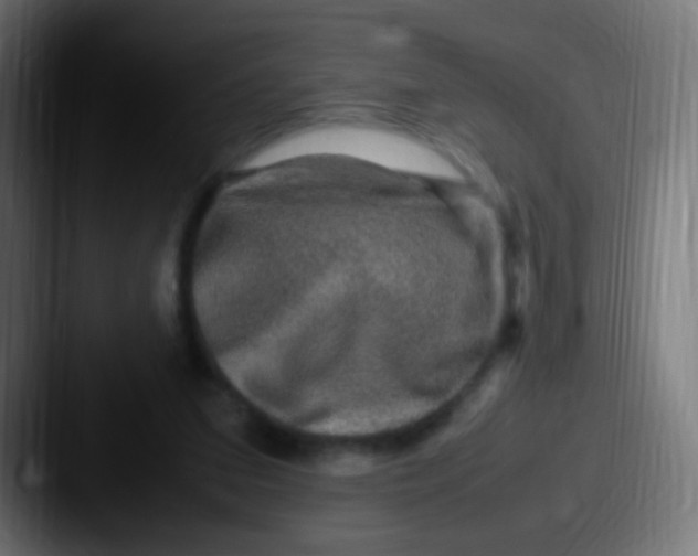 X0000087620207200705181319