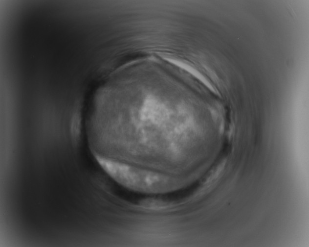 X0000087620211200705181319
