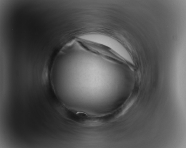 X0000087620213200705181319