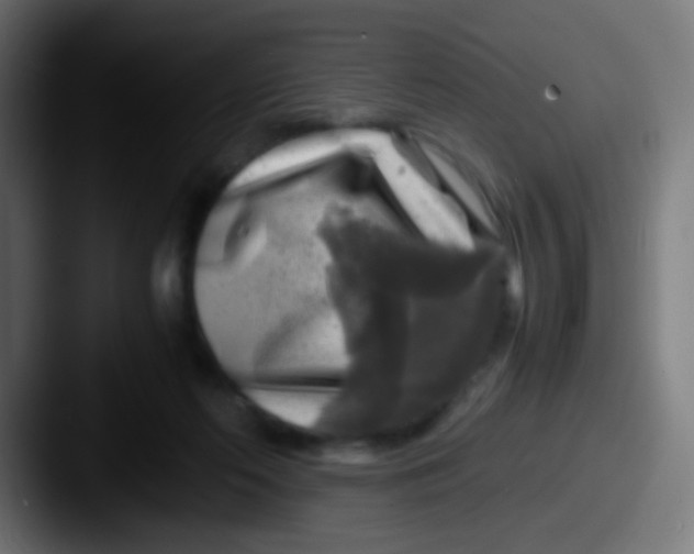 X0000087620214200705181319