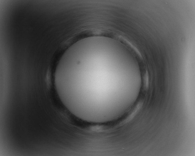X0000087620216200705181319