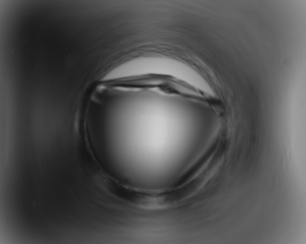 X0000087620217200705181319