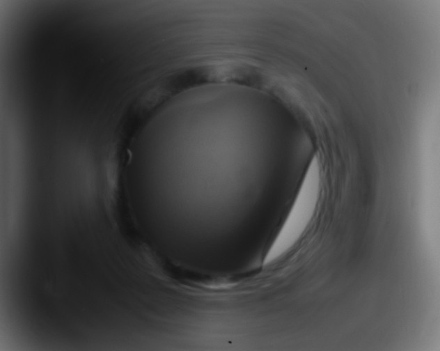 X0000087620219200705181319
