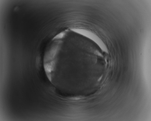 X0000087620224200705181319