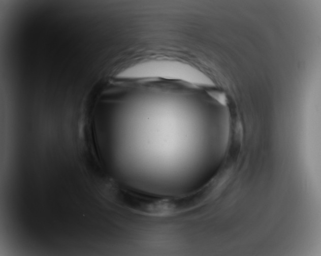 X0000087620225200705181319