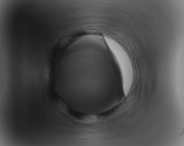 X0000087620227200705181319