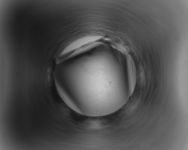 X0000087620228200705181319