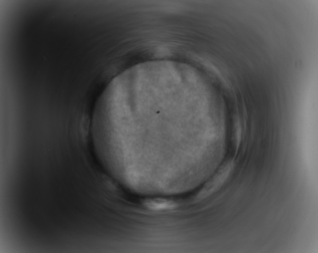 X0000087620230200705181318