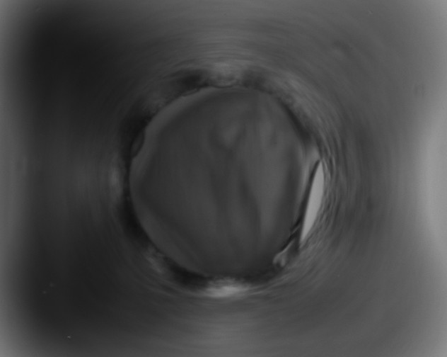 X0000087620231200705181318