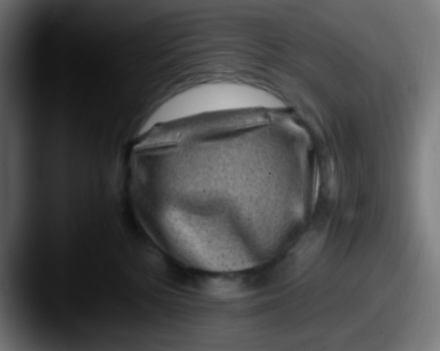 X0000087620232200705181318