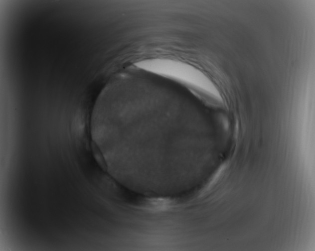 X0000087620233200705181318
