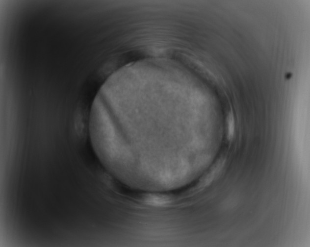 X0000087620234200705181318
