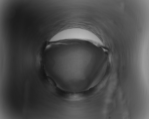 X0000087620235200705181318