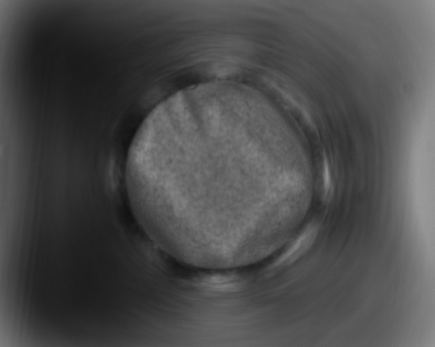 X0000087620236200705181318