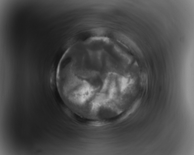 X0000087620238200705181318