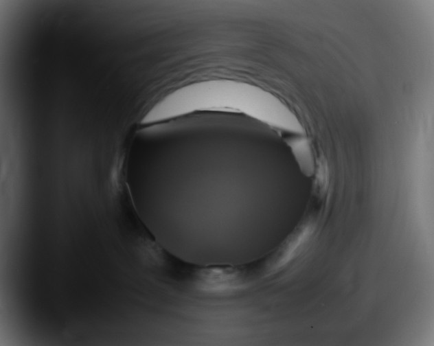 X0000087620239200705181318