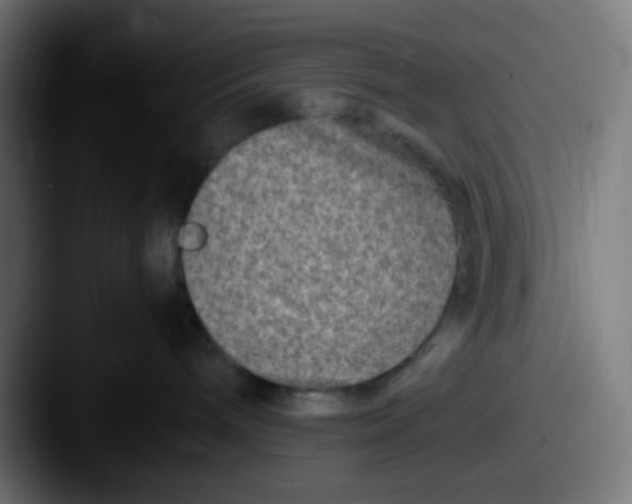 X0000087620240200705181318